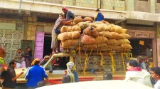 خيار ضرورة أم اعتساف للقوانين.. ضريبة القات في تعز الشريان الرئيسي لتمويل الجبهات بعد تخلي الحكومة عنها